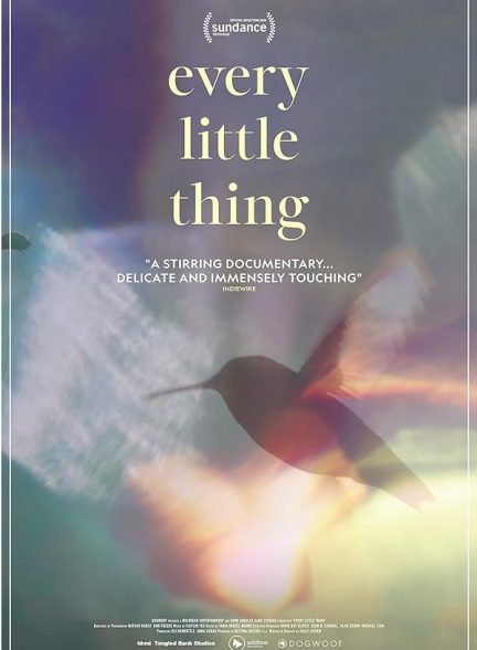 (2024) Every Little Thing | هر چیز کوچک